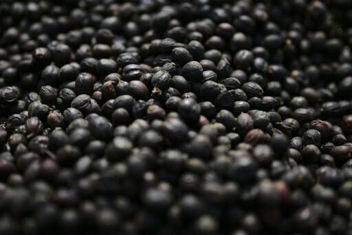 Coffee is one of the products now exempt from some of US President Donald Trump's tariffs, after prices had skyrocketed in the United States