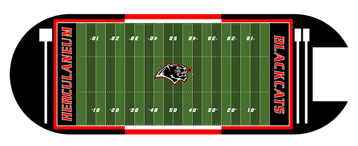 A rendering of the new turf field at Herculaneum High School.