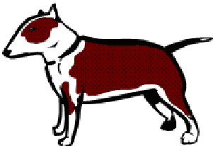 Couple told they couldn’t buy puppy accused of stealing it 