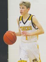 Festus moves boys basketball game against Hillsboro to Feb. 9