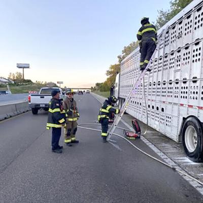 Festus firefighters hose down piglets in tractor-trailer that broke down