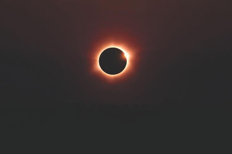 pexels-gleive-37045046