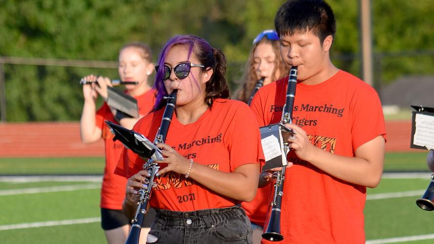 festus bands (16).JPG