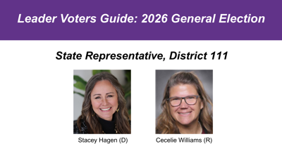 Voters Guide: Missouri House of Representatives District 111