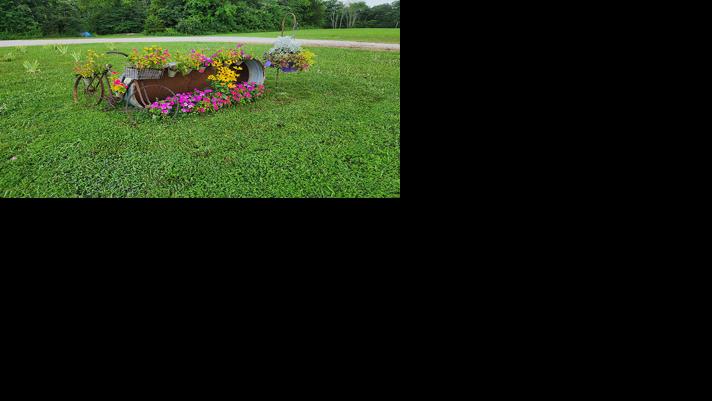 Dawn Tucker of Hillsboro earned third place in last year's contest with a picture she took of her garden.