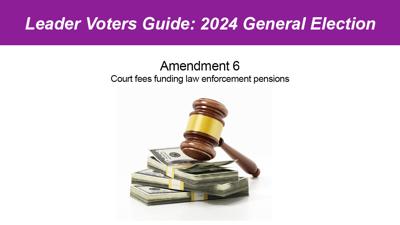 Amendment 6