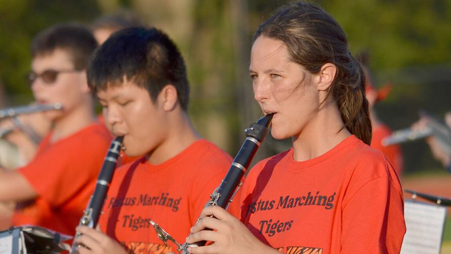 festus bands (19).JPG