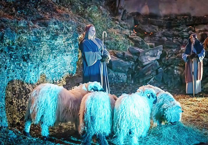 The shepherd, Sarah of Barnhart, is one of many volunteers at the live nativity scene in Imperial.