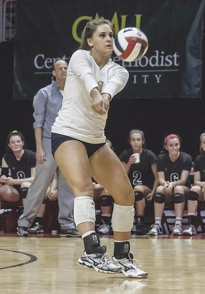 shelby meyer vball photo