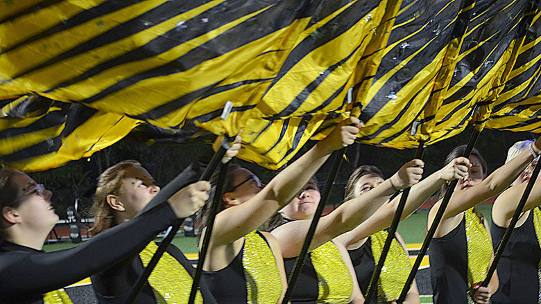 festus bands (2).JPG