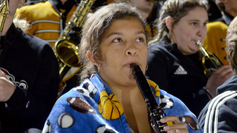 festus bands (5).JPG