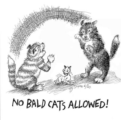 6-18 cats.jpg