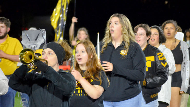 festus bands (8).JPG