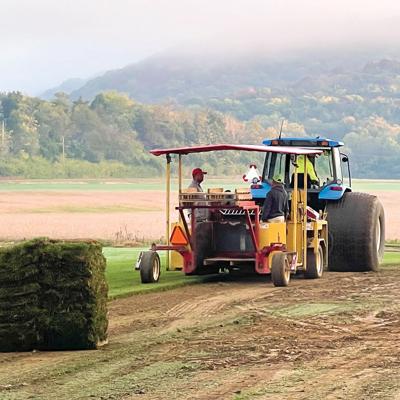 Gil Schroeder Sod Farm