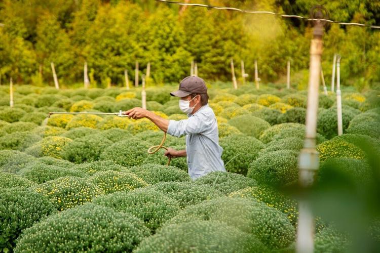 pexels-ly-lam-kh-huy-2159008331-35832414