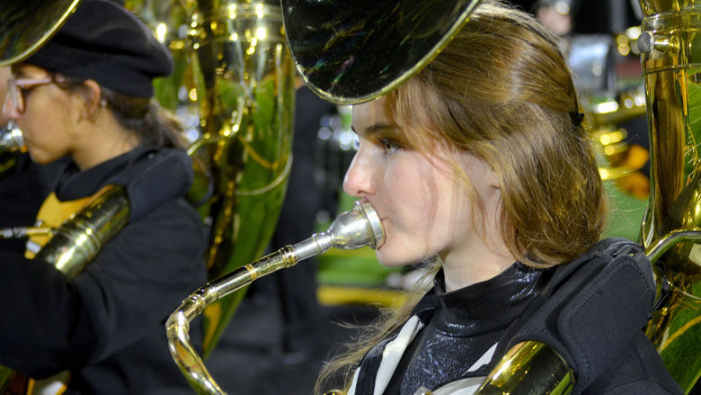 festus bands (11).JPG