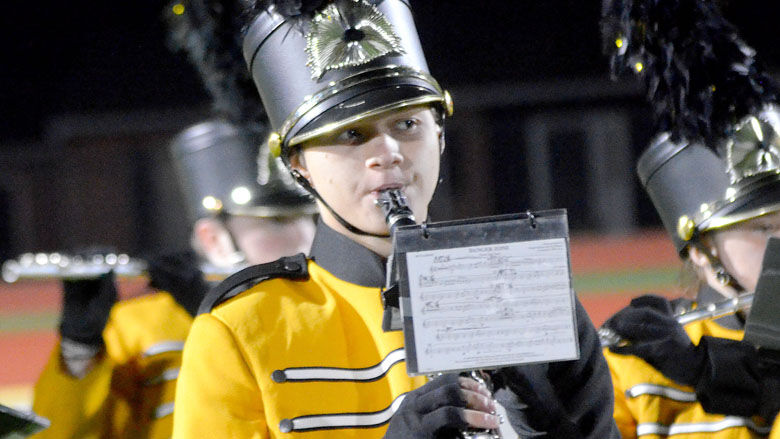 festus bands (13).JPG