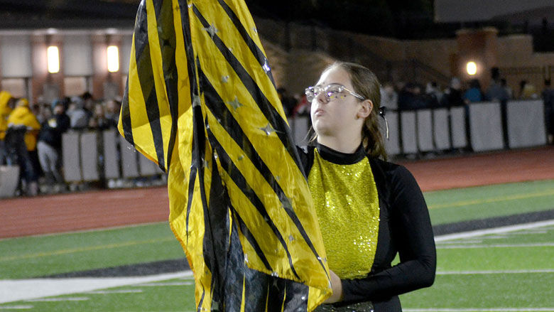 festus bands (15).JPG