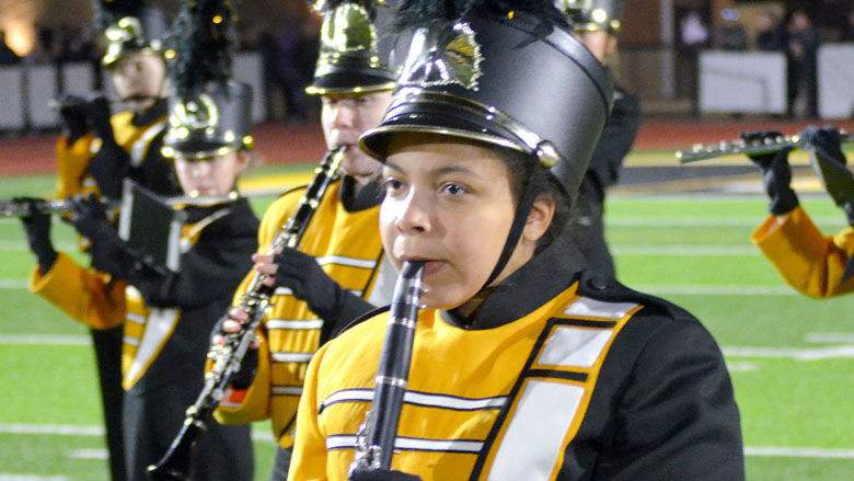 festus bands (19).JPG