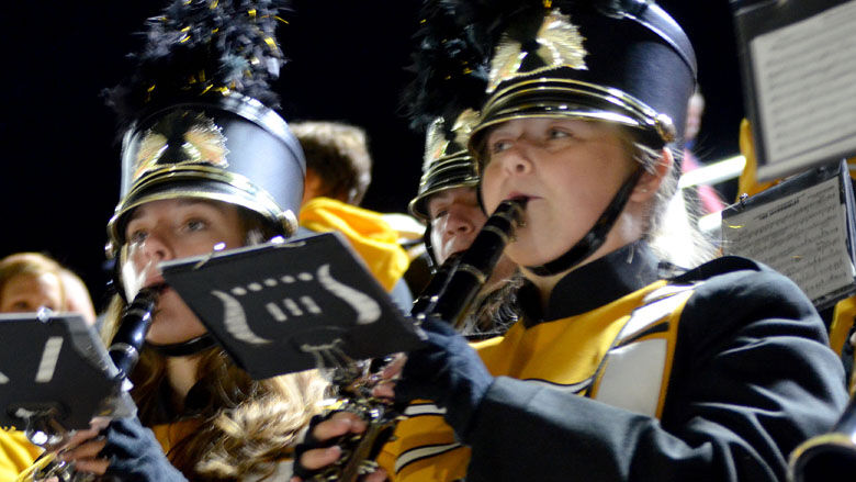 festus bands (27).JPG