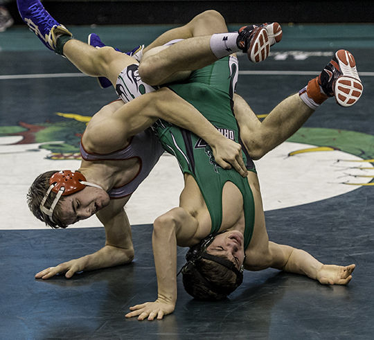 Ted Howell D4-174.jpg