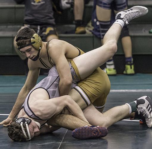 Ted Howell D4-151.jpg