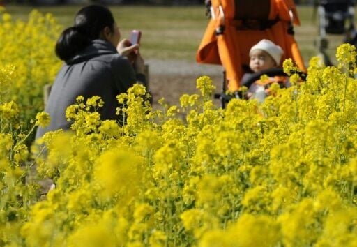 Japan's decades-old "maternity protection" law is a holdover from a wartime era where women were considered resources for population growth