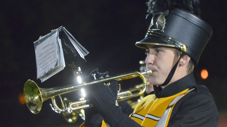 festus bands (38).JPG