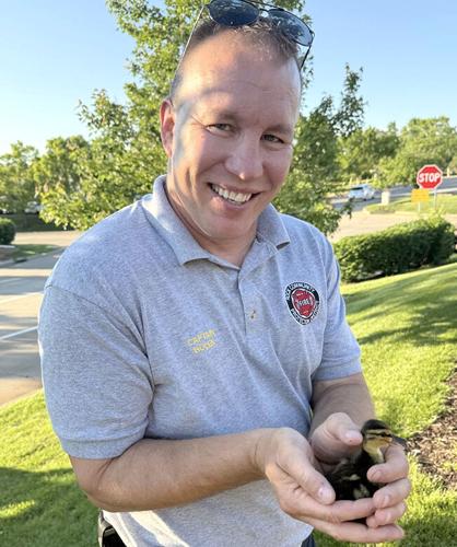 Rock firefighters rescue ducklings from pipe in Arnold
