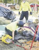 Firefighters, volunteers work together to try to save sick horse