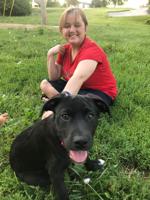 Pet spot: Sadie a total love bug