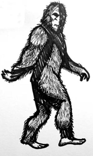 Bigfoot hunters using state of the art technology in bid to finally solve mystery