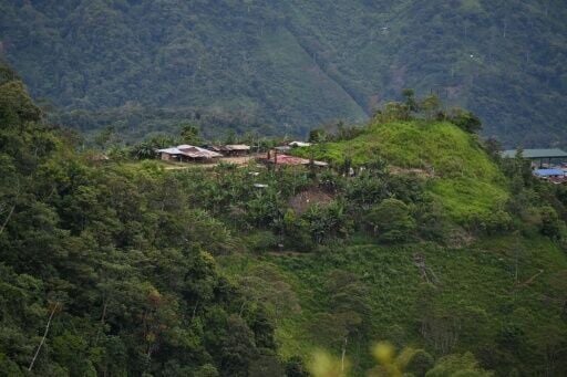 In the coffee-growing mountains in the western region of Risaralda, home to the Embera people, clitoris removals still affect girls