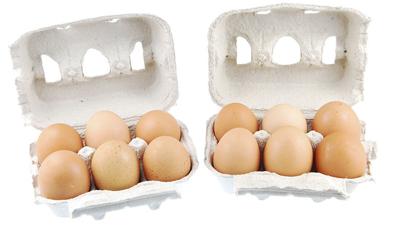 eggs