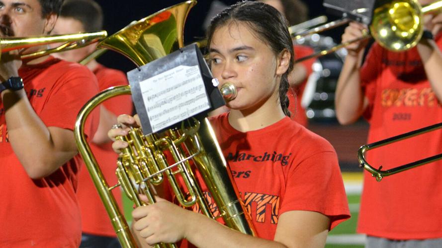 festus bands (42).JPG