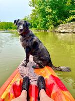 Pet Spot: Woofie likes to be in water