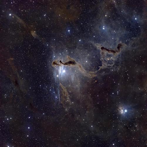 pexels-scott-lord-564881271-33953375