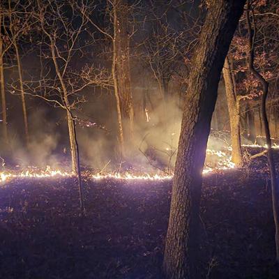 Brush fire near Lone Elk Park burns up 5-10 acres of forest