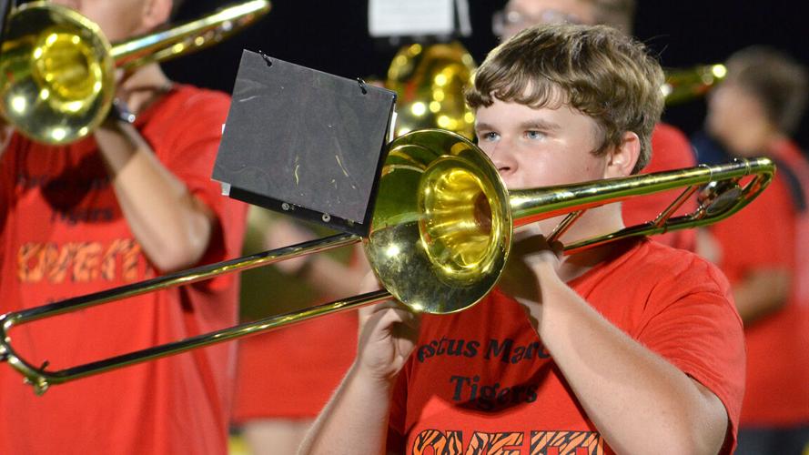 festus bands (43).JPG
