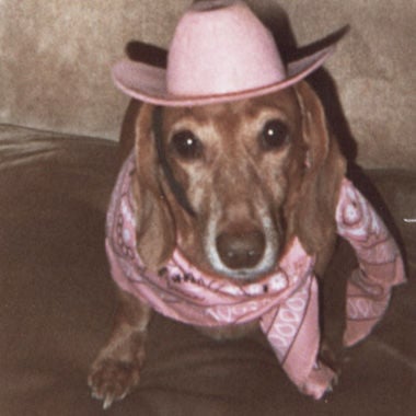 Dottie Fuchs sent in this photo of her dachshund, Clemintine, dressed up for Valentine's Day.