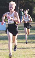 Tigers begin quest for seventh straight state title