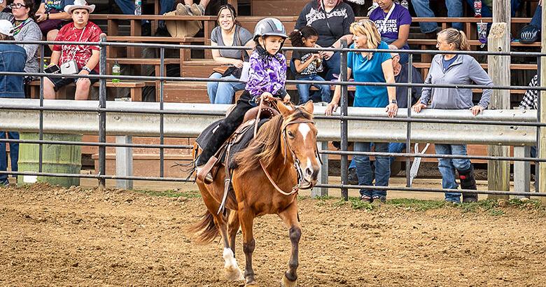 Hillsboro Horse Show and Fall Festival draws over 1,000 | Local News ...