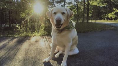 The Hughes family of Dittmer said their late dog, Buddy, loved the outdoors.