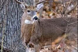 2024 FDT_Cover_0.jpg