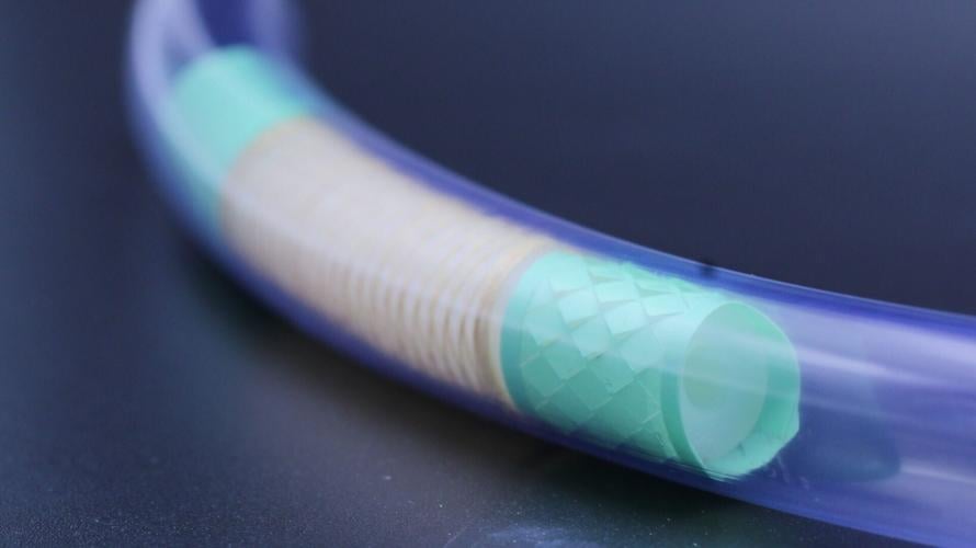 Snake-inspired soft robot could help diagnose and treat small intestine disorders