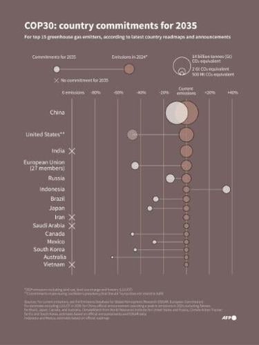 COP30: Country commitments for 2035