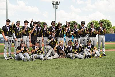 Festus baseball