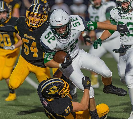 Ted Howell D4 -47.jpg