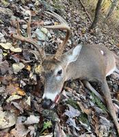 OUTDOORS: Meeting provides CWD answers at Festus VFW