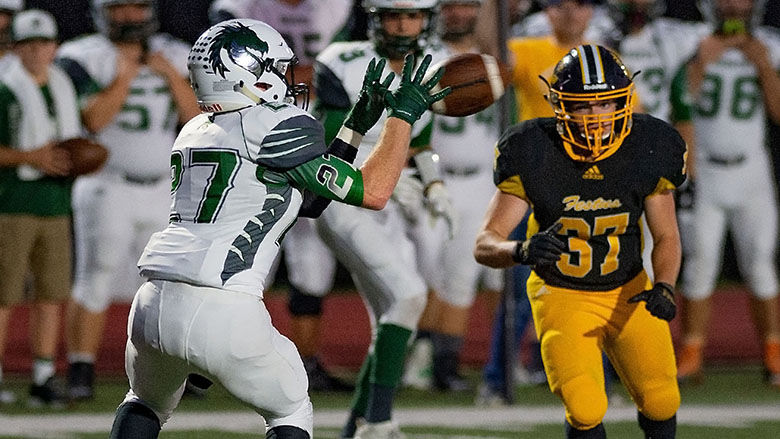 Ted Howell D4 -70.jpg